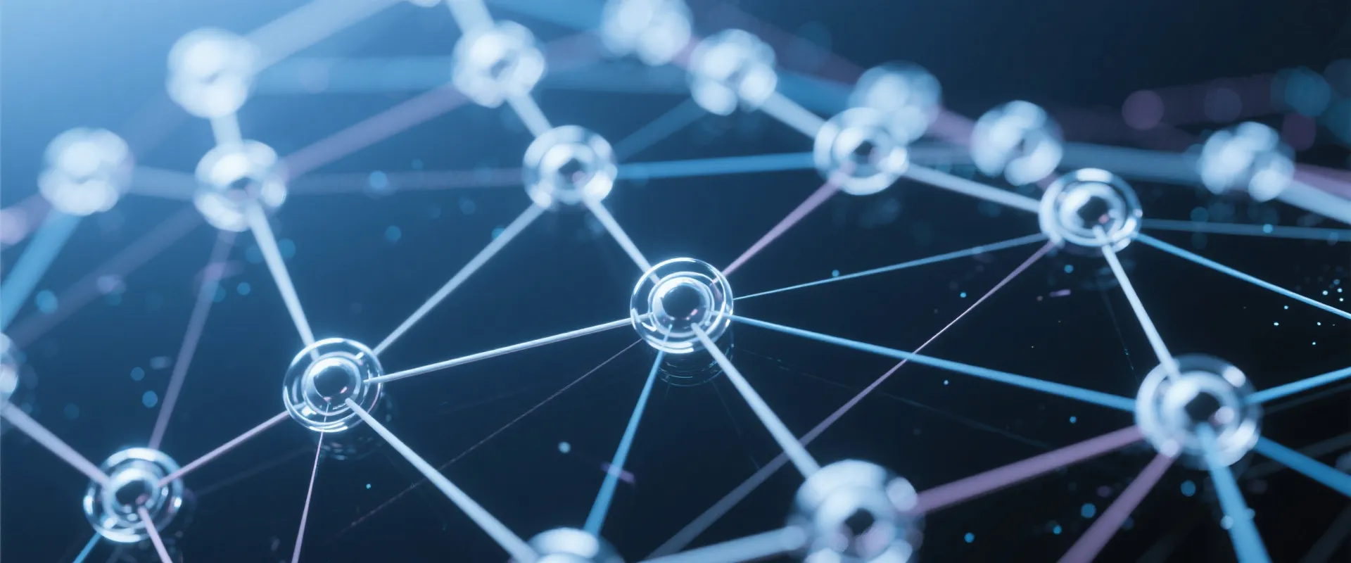 Support Network Background